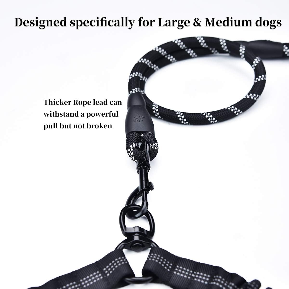 U-Pick Dual Dog Leash, Double Dog Leash, 360 Swivel No Tangle Double Dog Walking Training Leash, Comfortable Shock Absorbing Reflective Bungee for Two Dogs, Black, Medium Large image number 2