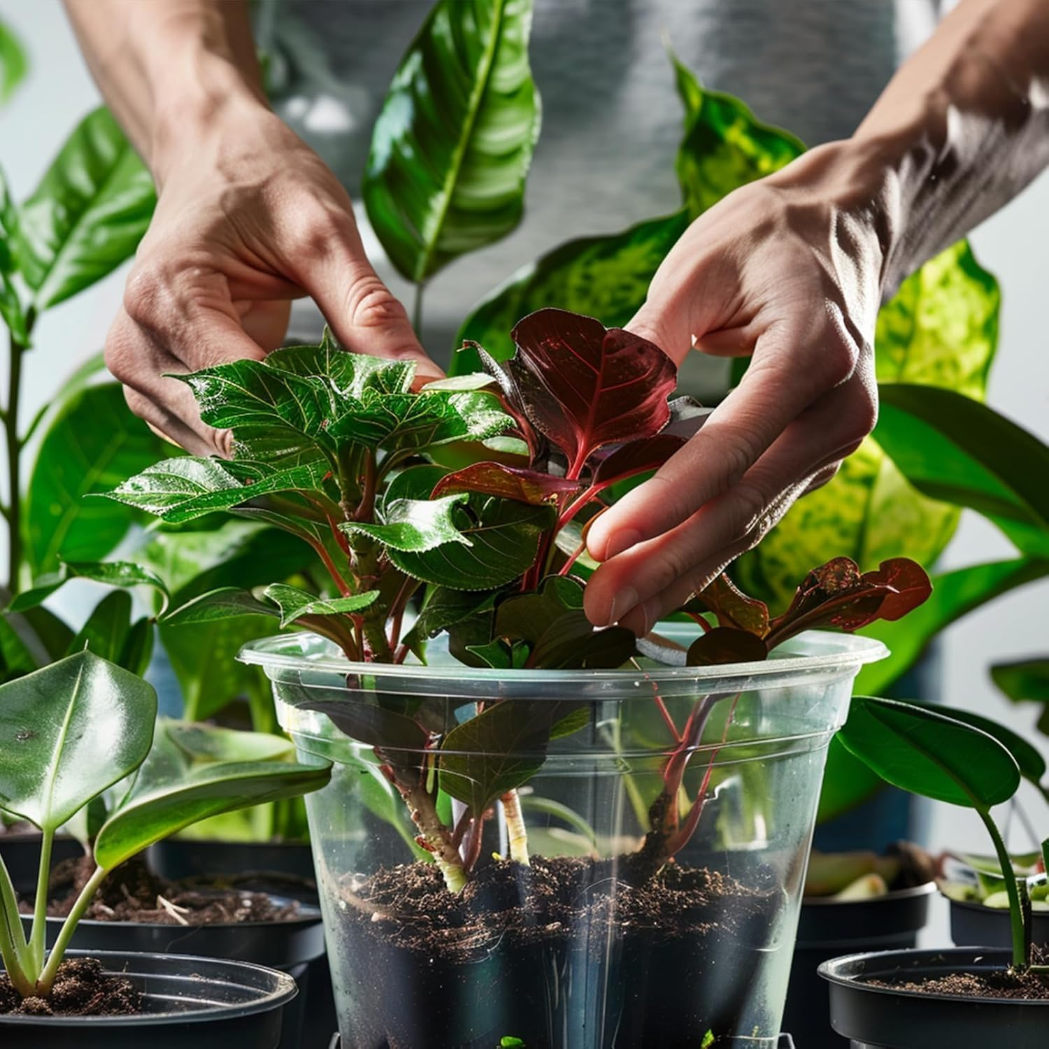 Plant Pot, Plastic Pot, Clear Nursery Planter 8.89 Cm, 20 Pack, Drainage Holes for Seed Starting and Repotting, Transparent for Root Observation, Compatible with Small to Medium Plants, Herbs,-Crfy