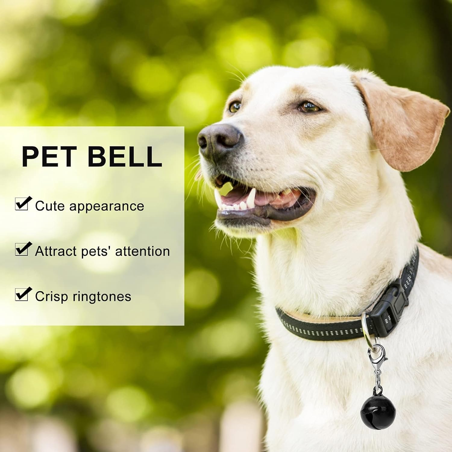 10 Pcs Cat Dog Collar Bells, Jingle Bell for Cat Collar, Dog Collar Charms, Colourful Pet Small Bells with Clasps, Pet Collar Accessories, Festival Party DIY Crafts Decoration for Dog Cat Pet