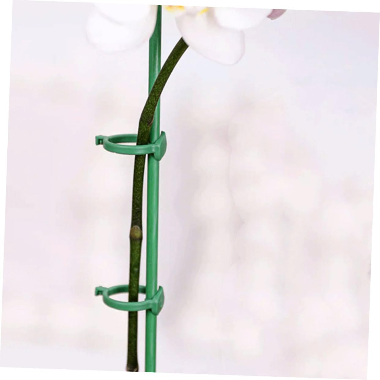 Toddmomy Plant Support Stakes for Garden Outdoor Use Single Stem Floral Flower Support Stake Connectors