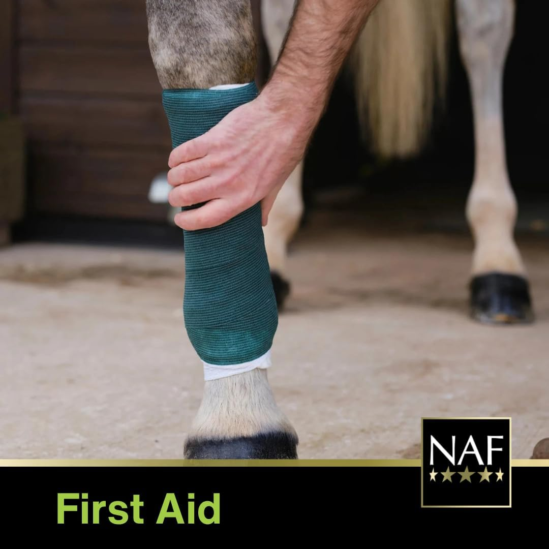 Natural Animal Feeds NAF Teatree Oil Shampoo