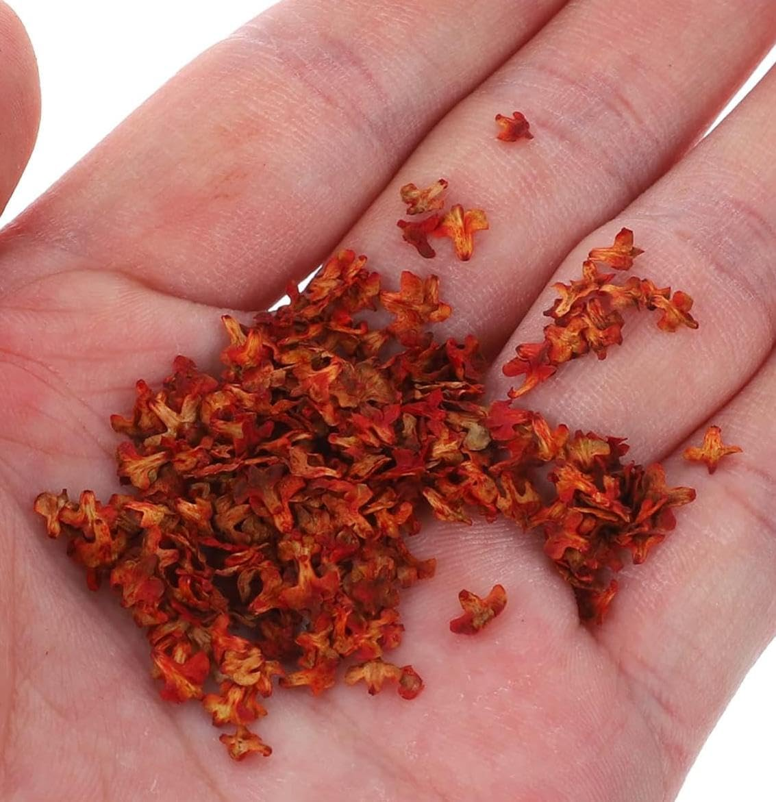 56Ml Micro Leaf Artificial Leaf Simulation Leaf Maple Leaf Suitable for DIY Plant Landscape Sand Table Static Model Railway Diorama Decorative Landscape Scene (Red) image number 3