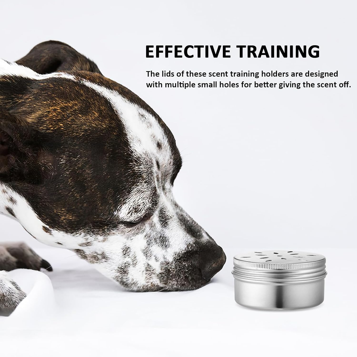 Mipcase Pack of 10 Dog Fragrance Training Box: Dog Fragrance Holder Dog Nose Metal Container Aluminium Agility Training Equipment Dog Fragrance Work Cans with Magnetic Dots image number 4