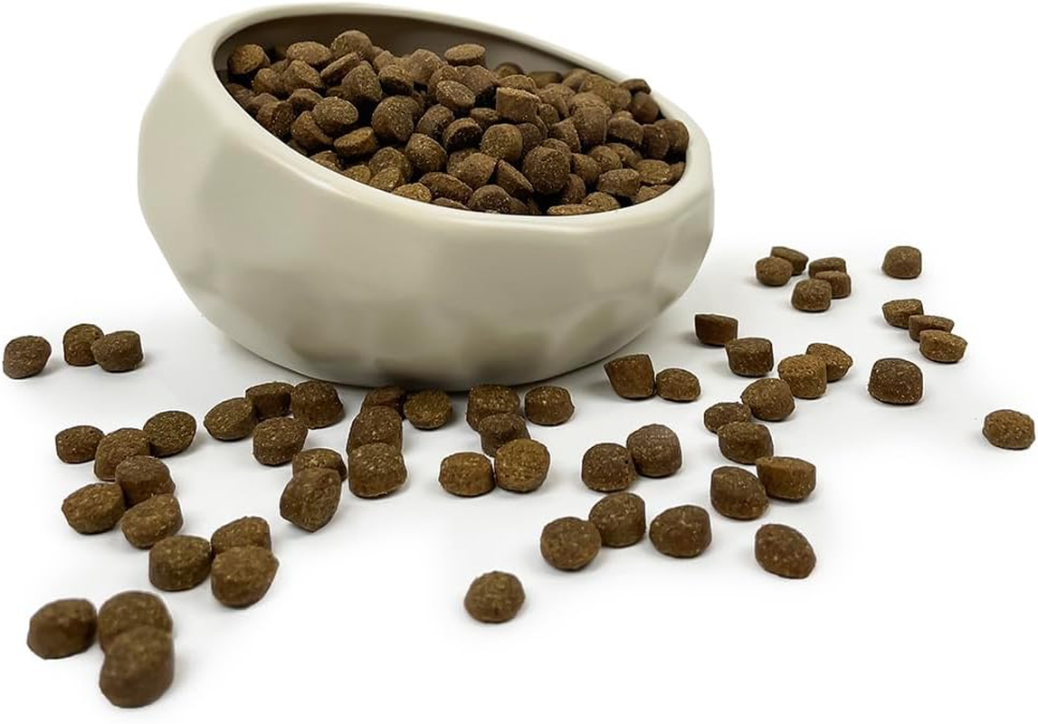 Barkley & Bella Dog Bowl Ceramic Honeycomb White 450Ml, White - Dog Bowl, Handcrafted, Durable, Dishwasher-Safe, Heavyweight Stability, Porcelain Ceramic image number 4