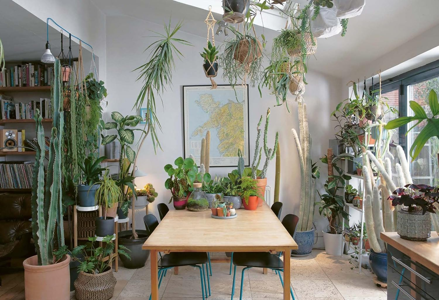 The Plant Rescuer: the Book Your Houseplants Want You to Read image number 5