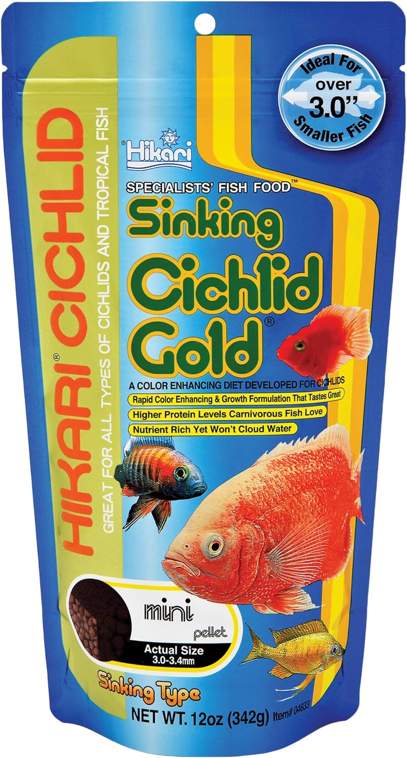 Hikari 12-Ounce Sinking Cichlid Gold Pellets for Pets, Mini image number 5
