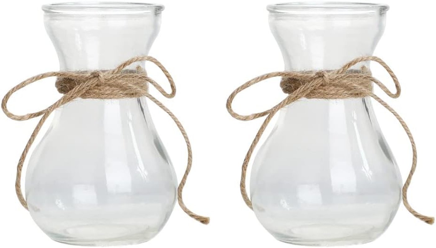 Happyyami 2Pcs Hyacinth Vase Ikebana Vases Vintage Glass Vase Glass Terrariums for Plants Vintage Flower Vase Hyacinth Bulb Vase Hydroponic Bottle Vases Flower Arrangement Container Planter image number 6