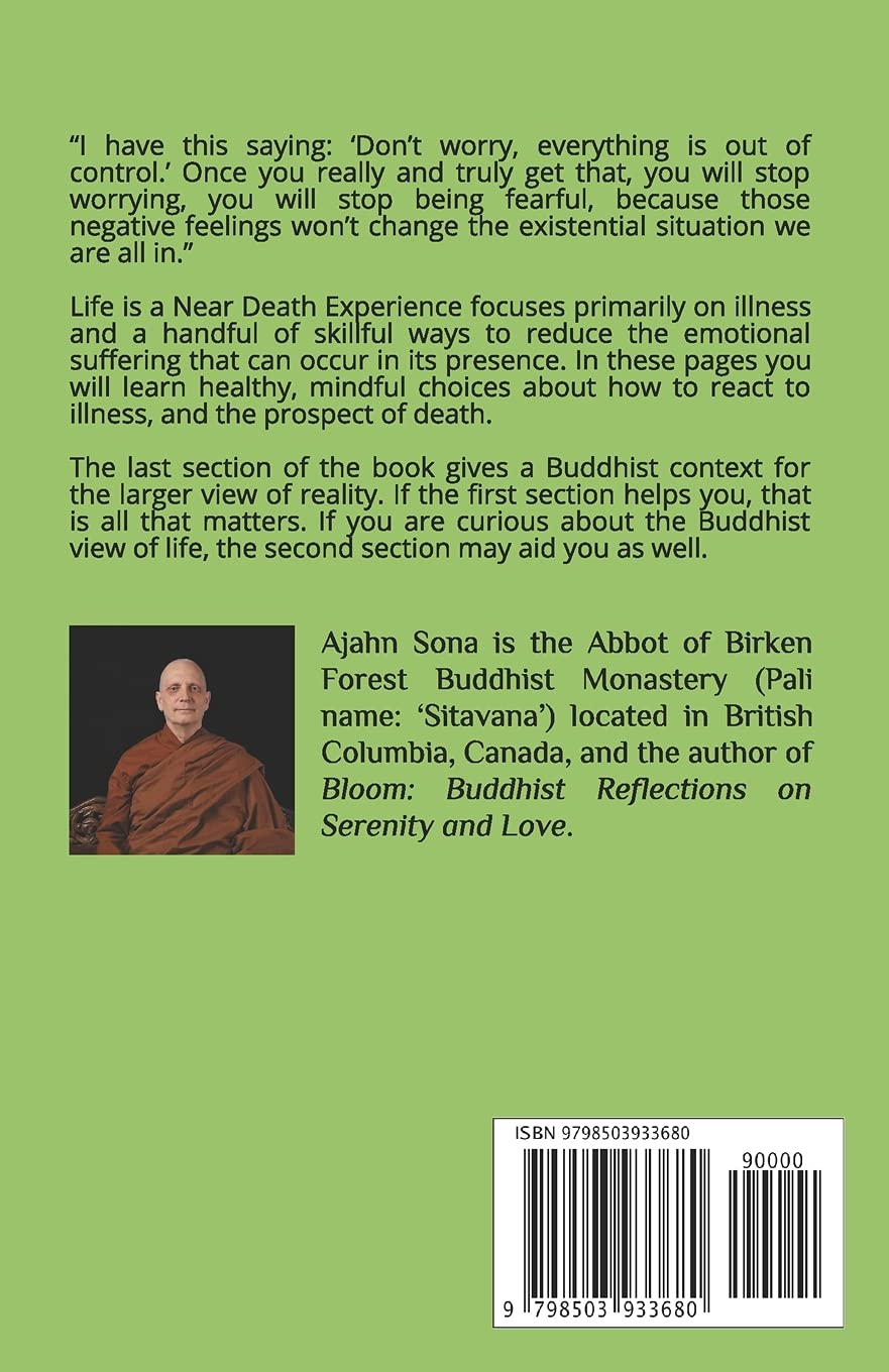 Life Is a near Death Experience: Skills for Illness, Aging, Dying, and Loss