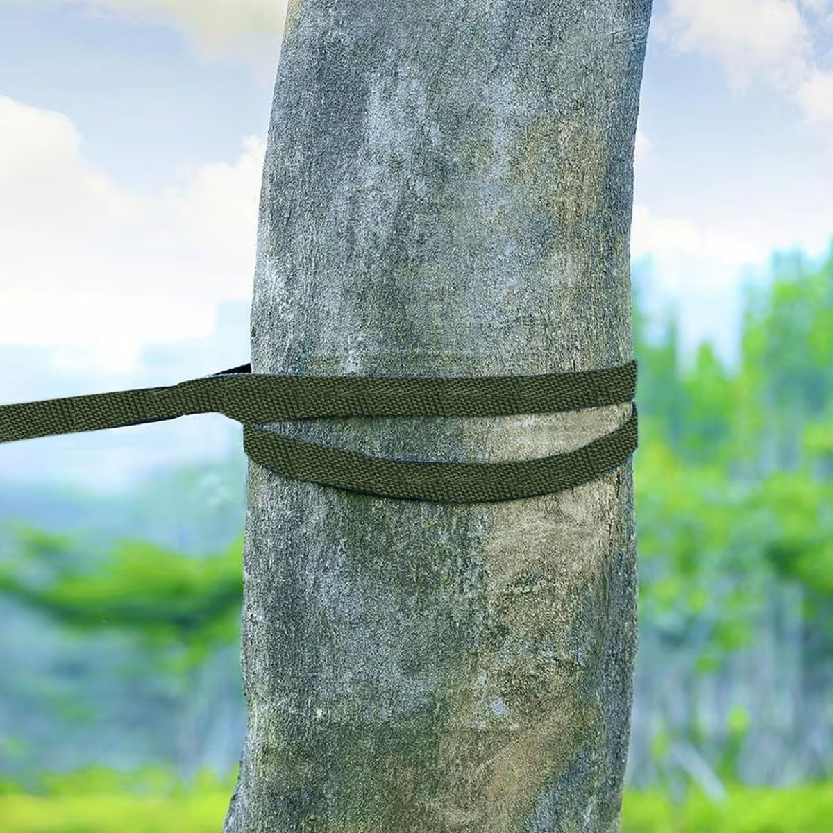 Orixo Plant Tape Green 38 M X 28 Mm, Polyester Tree Ties Tape, Plant Ties Tape, Plant Tape, Weatherproof, for Gardening, Home, Outdoor image number 5