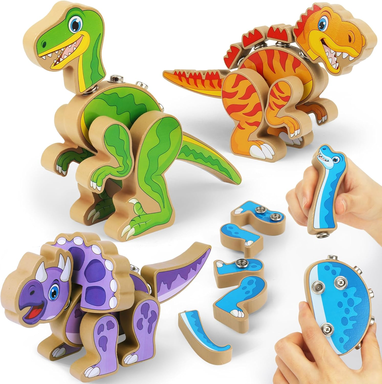Coogam Build Your Own Dinosaurs Toy, Snap Together Building Dinosaurs Playset, Wooden STEM Take Apart Dinosaur Builder, Fine Motor Building Toy for 3 4 5 Years Old Kids image number 4