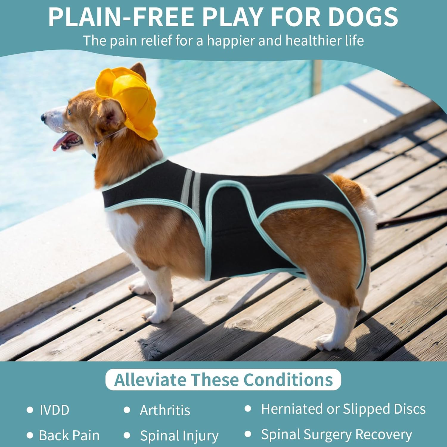 PUMYPOREITY Back Bandage for Dogs, Arthritis for Relieving Back Pain, Schian Surgical Recovery and Rehabilitation (XL) image number 6