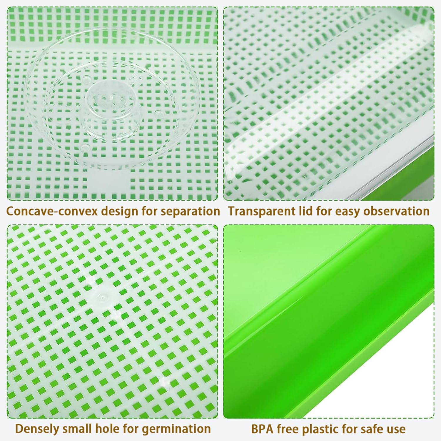 FORYUSE 3 Pack Seed Sprouter Tray with Drain Holes BPA Free PP Soil-Free Wheatgrass Grower with Lid Microgreens Germination Sprouting Kit for Garden Home Office image number 6