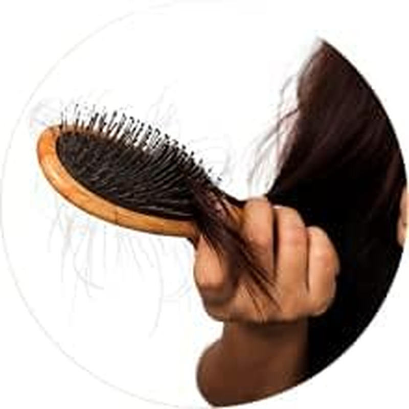 Herbal Hair Mix Powder for Hair Care by Hebhac Herbs Made with 17 Traditional Herbal Hair Oil Mix for Thick Long Hair Growth (3.5 Oz) image number 6