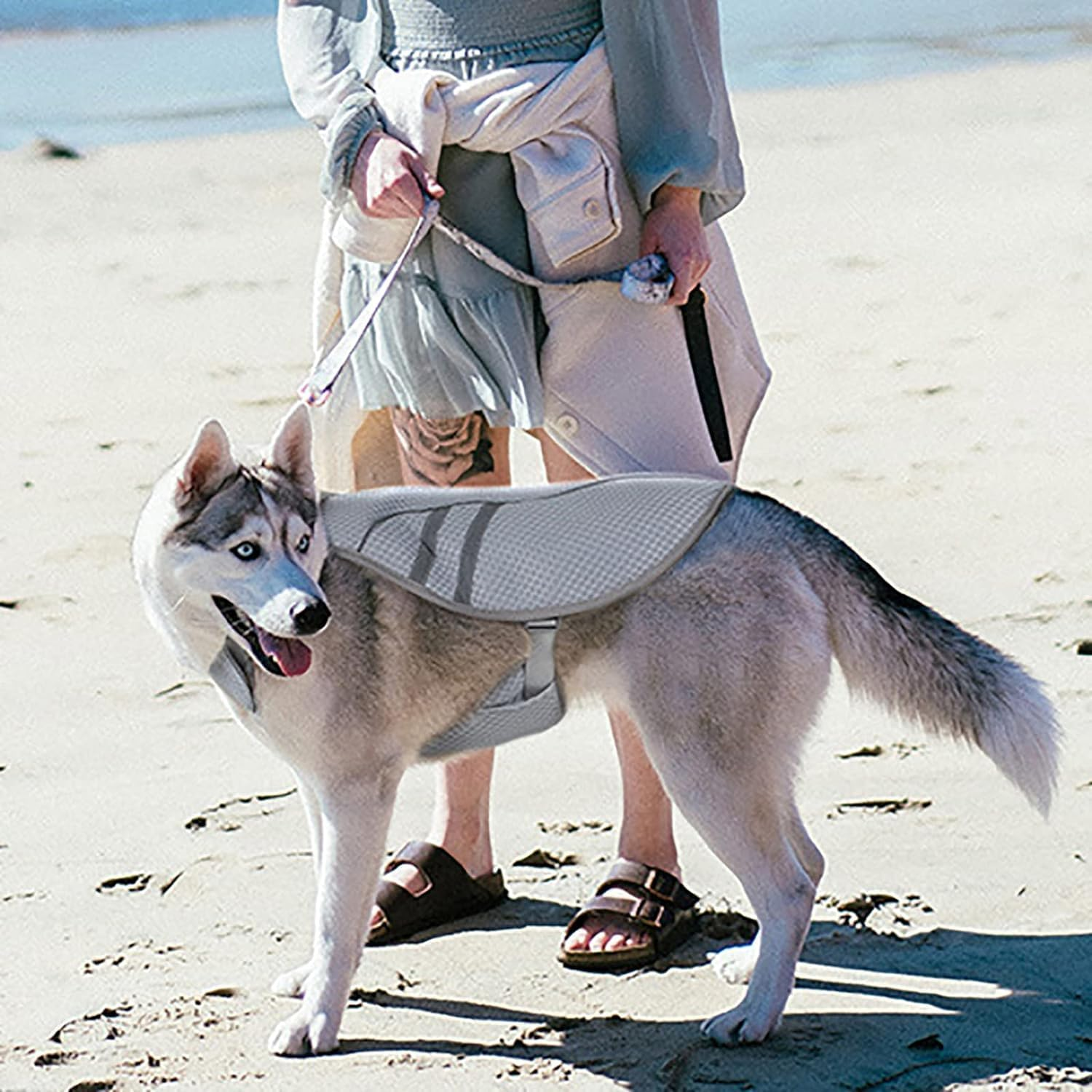 Dog Cooling Vest Harness Cooler Jacket, Dog Cooling Vest Lightweight Jacket with Evaporative Cool Microfiber Technology, Breathable Instant Cooling Dogs Vest Lightweight for Summer,S image number 2