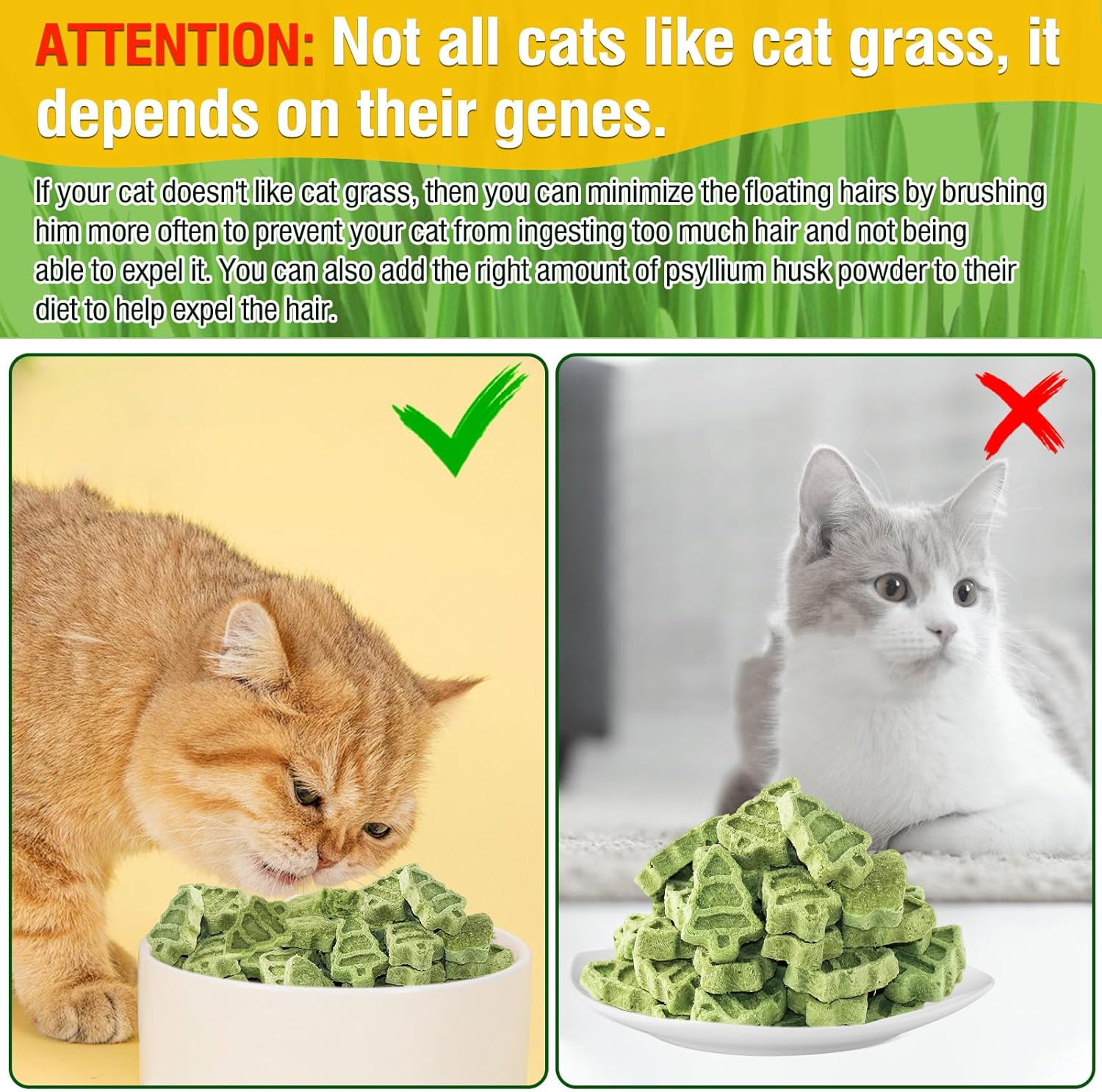Cat Grass Teething Sticks, 100G Edible Freezed Drying Cat Grass Treats, Cat Snacks for Hairball Removal and Dental Care