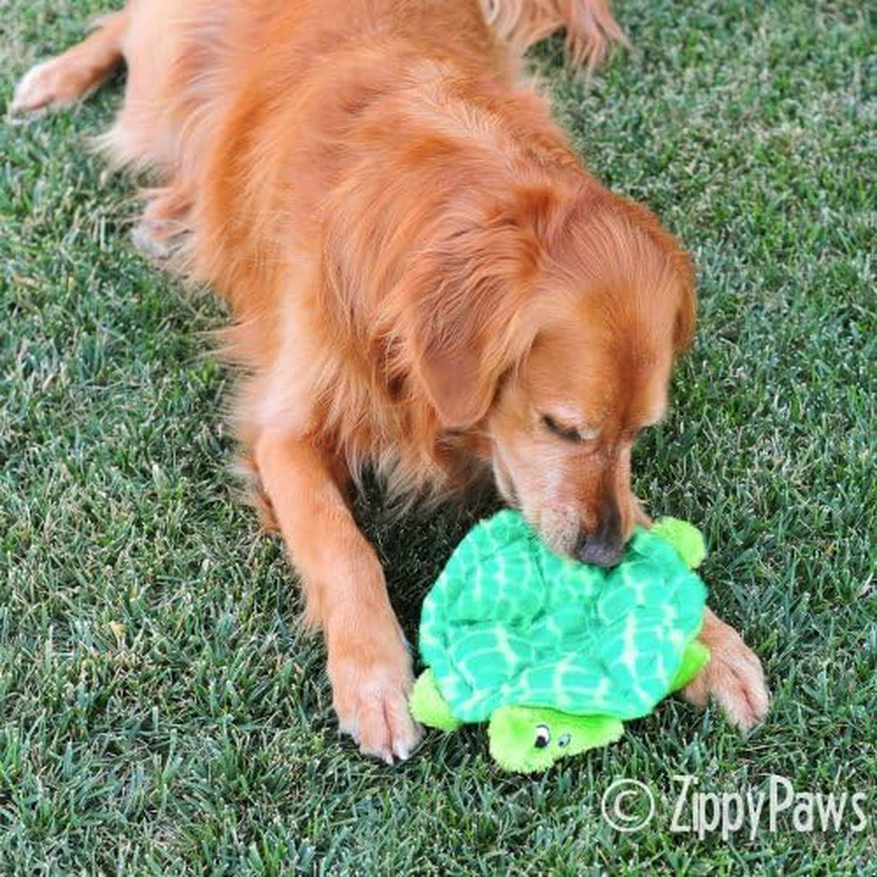 Zippypaws Squeakier Crawlers Slowpoke the Turtle 25X21.5X2.5Cm, Green