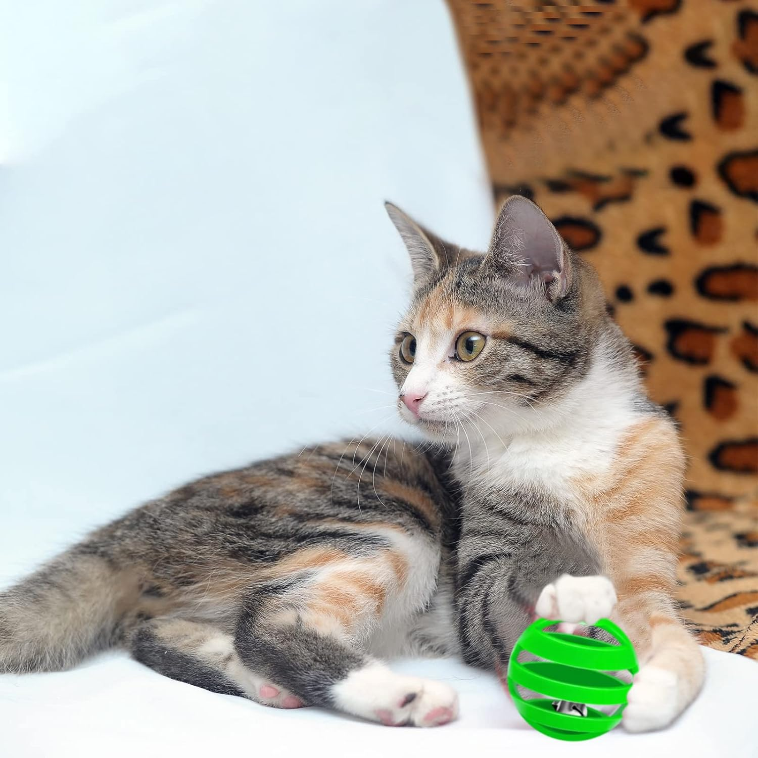 21 Pieces Plastic Cat Toy Balls with Bell inside Kitten Chase Toys Lattice Bell Balls Cat Pounce Rattle Ball with Black Plush Drawstring Bag for Cat Exercise and Play Indoor image number 4