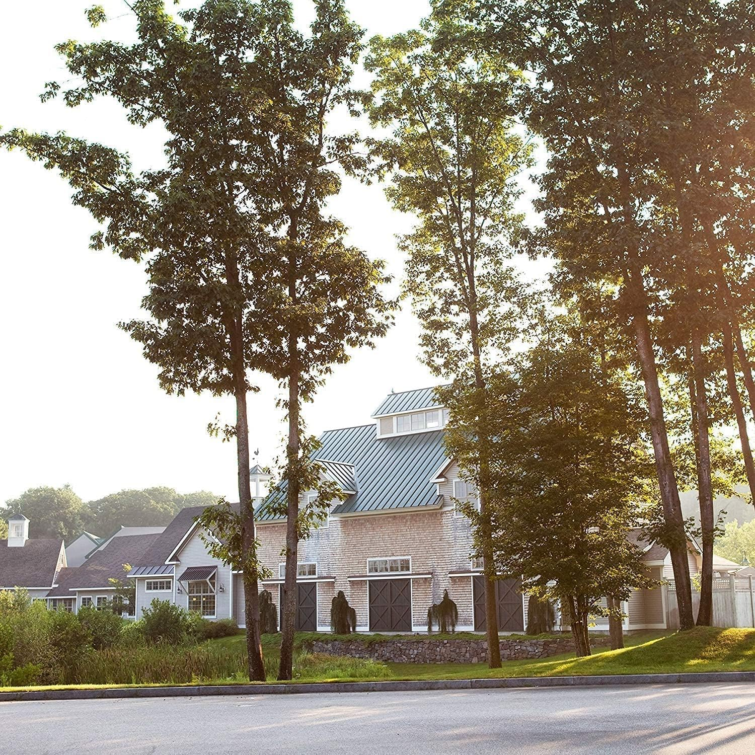 Michel Design Works Foaming Hand Soap, Lemon Fizz, Beautiful Square Container with Pump image number 1