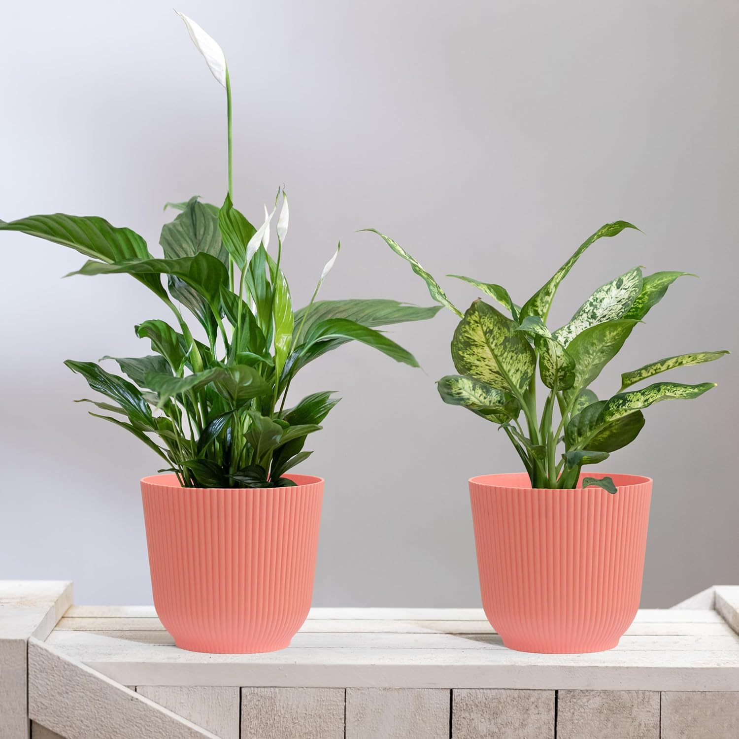 Olly & Rose Oxford Plant Pot Planter Plastic - Pack of 2 - Indoor and Outdoor Flower Pots for Garden and Home - Toughened Resin Plant Pots (Pink, 18Cm) image number 4