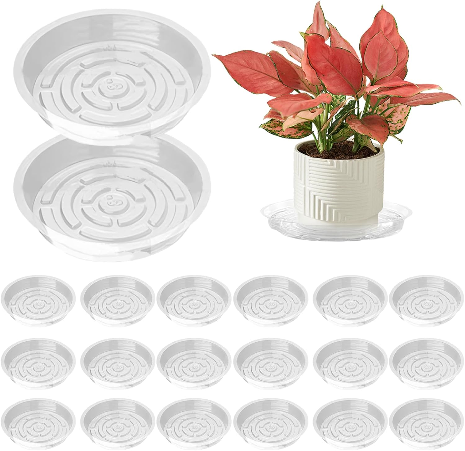 Plant Saucer 20Pcs 8 Inch round Plant Tray Non-Slip PP Plant Pot Saucers Waterproof Transparent Plant Drip Trays for Indoor Outdoor Gardening Supplies Plant Drip Trays Plant Pot Saucers Plant Tray image number 4