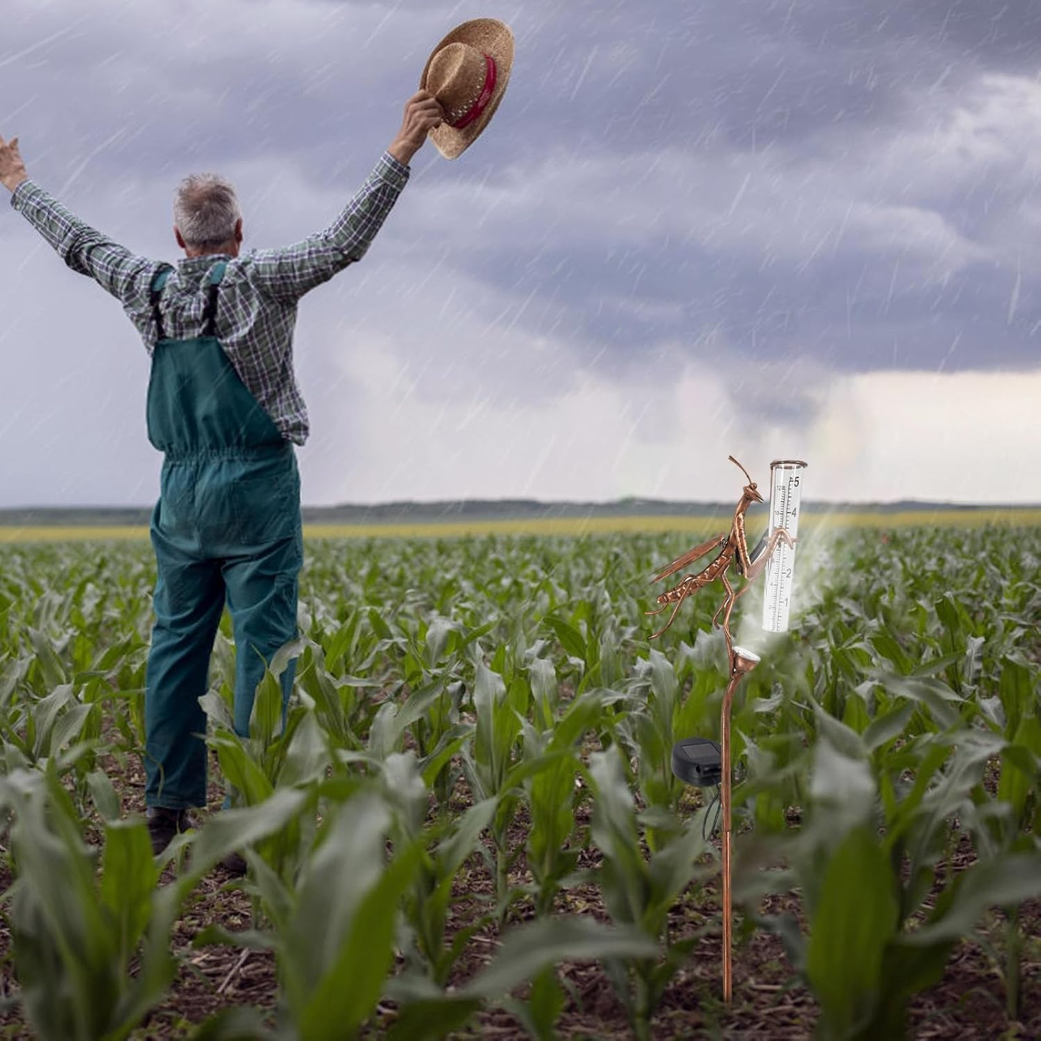 LED Lights Rain Gauge - 2 in 1 Solar Rain Gauges LED Lights,Mantis Shape Multi-Functional, Decorative Gauge for Yards, Lawns, Pathways, Patio image number 3