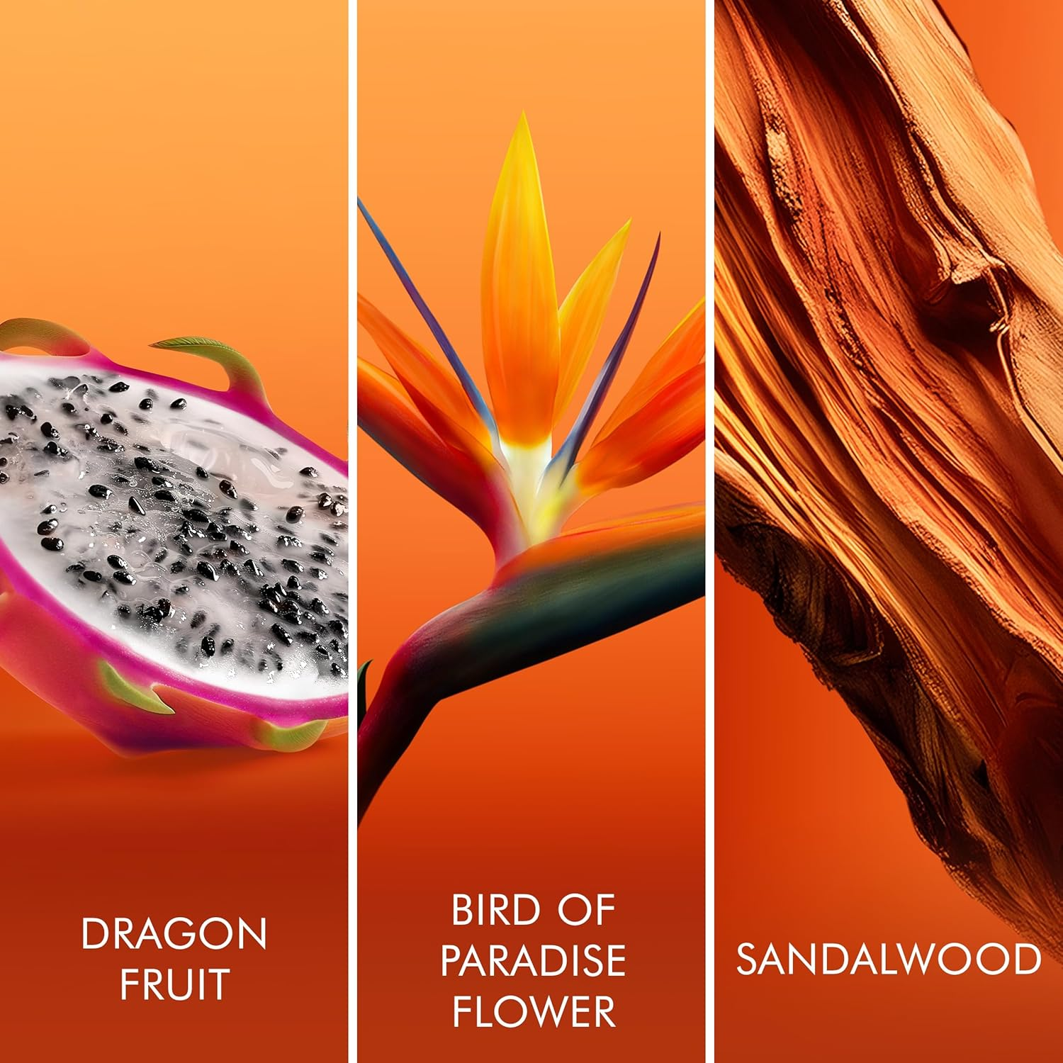 Escada Women'S Bali Paradise Eau De Toilette Spray 100 Ml image number 5