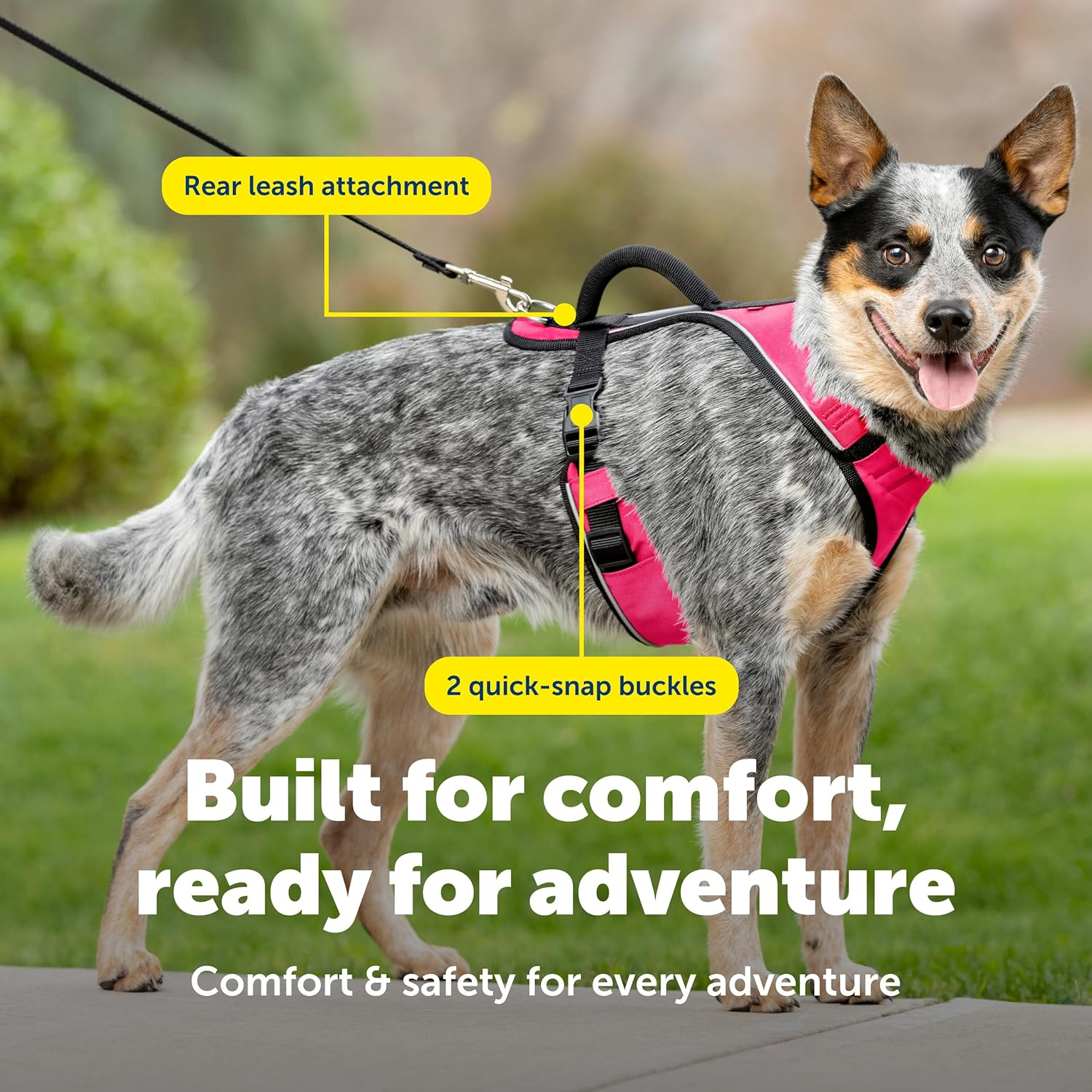 Petsafe Easysport Dog Harness, Adjustable Padded Dog Harness with Control Handle and Reflective Piping, from the Makers of the Easy Walk Harness,Pink,Medium