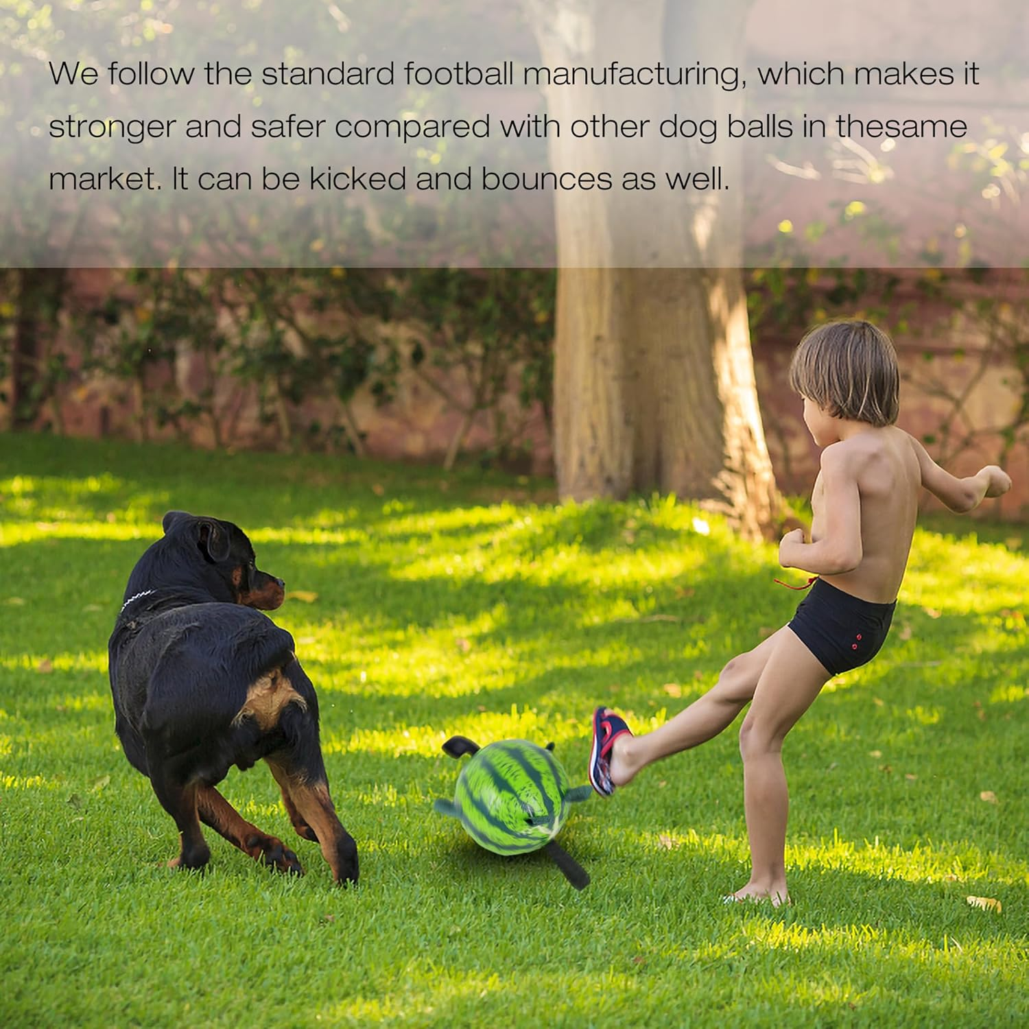 Dog Balls Toys Interactive Soccer Toy: Dog Toys with Grab Straps Tabs for Jolly, Fun Dog Water Toy for Tug for Small & Medium Dogs Ball 6.8 Inch image number 5