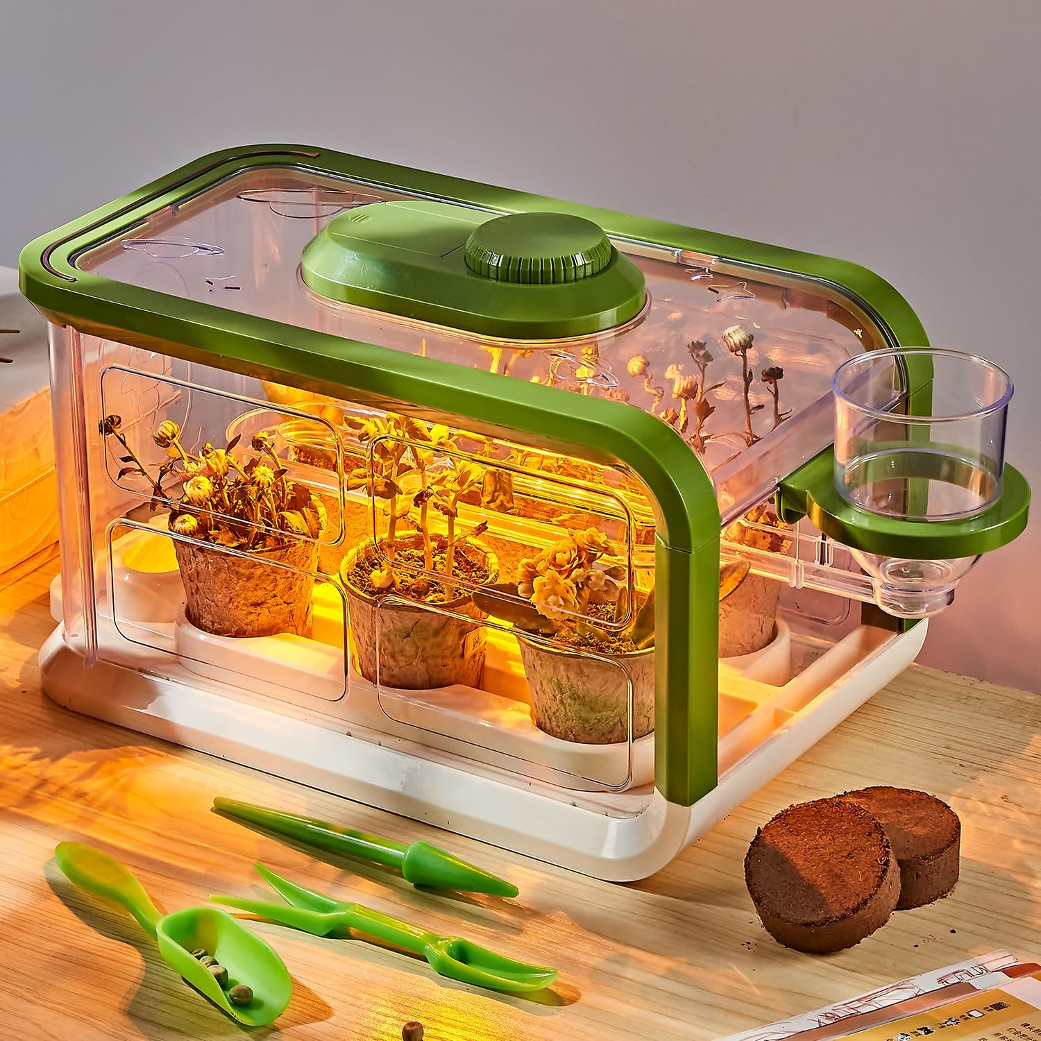 Mostop Kids Plant Growing Kit, Kids Gardening Greenhouse Growing Kit with Drip Irrigation and Grow Lights, Science STEM Toys Terrarium Kit for Boys Girls 3 4 5 6 7 8 Year Old, Kids Flower Growing Set image number 4