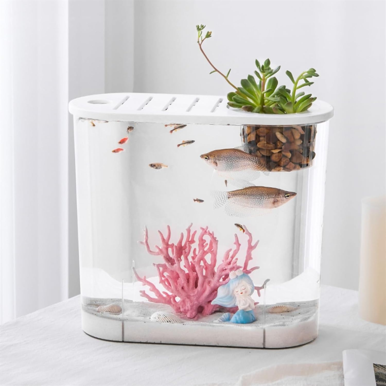 Aquariums Fish Tank Small Micro Landscape Transparent Fish Tank Large Ecological Aquascape Home with Lid Desktop Oval Can Be Planted Aquatic Plants Fish Bowl (Size : L) image number 3