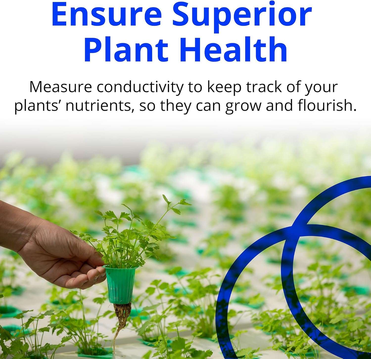 Bluelab Truncheon Nutrient Meter, Digital Conductivity Tester in Water (EC, 500, Ppm 700, CF, TDS) Tool for Hydroponic System and Indoor Plant Grow image number 4