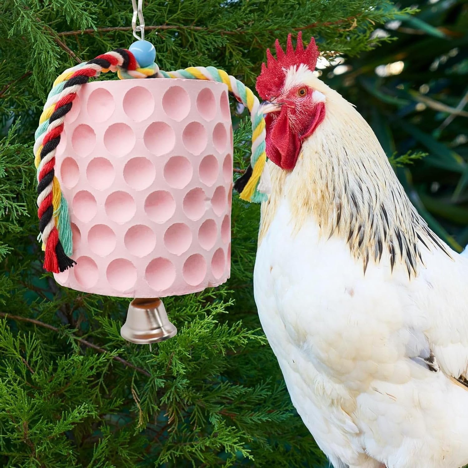 Large Chicken Chewing Toy with Bells, Calcium Stone for Beak Grinding, Cage Toys for Cockatiel Parakeet Parrot Budgies, Chicken Coop Accessories for Hamster Rabbit Bunny Rat (Pink) - Blue image number 2