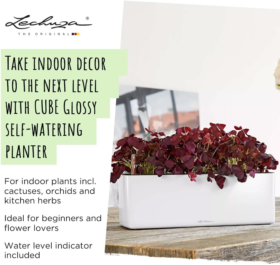 Lechuza Cube Glossy Triple Self-Watering Planter, Charcoal image number 4