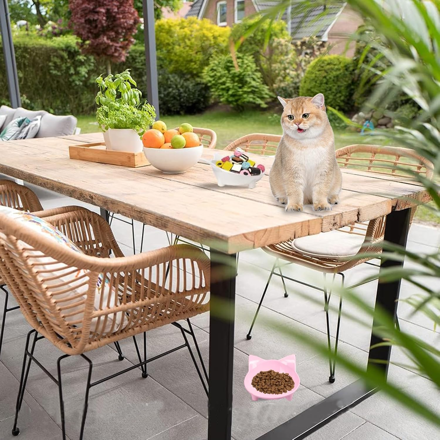 Cat Bowls, Anti-Slip Multi-Purpose Feeding Bowl, Cat Food Bowl with Non-Slip Rubber to Relieve Whiskers Fatigue, One Set of 2 - White and Pink image number 4