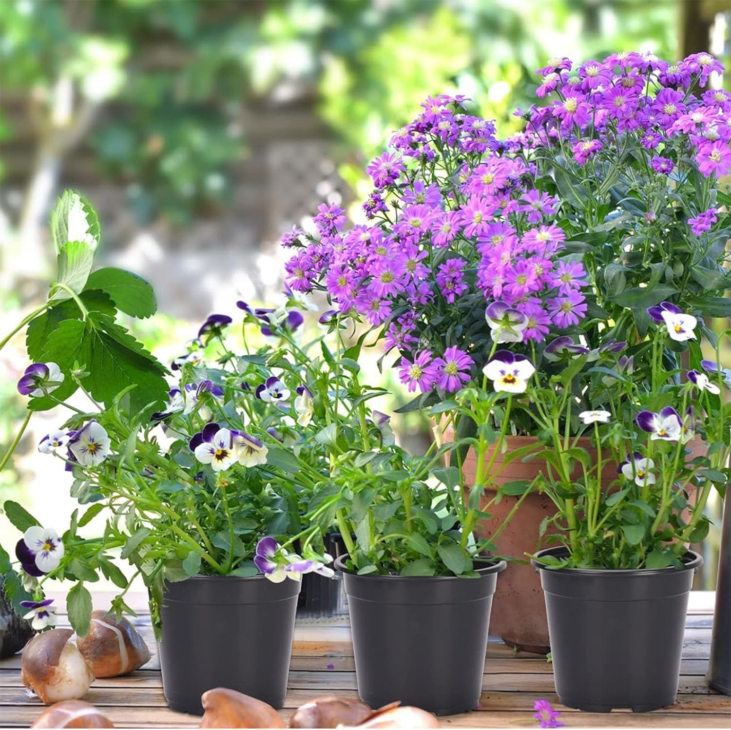 20 Pack Small Nursery Pots,Black Thick Seedling Pots,Plant Pots with Drainage Holes for Indoor Outdoor,Plants Decorative Planters for House Plants