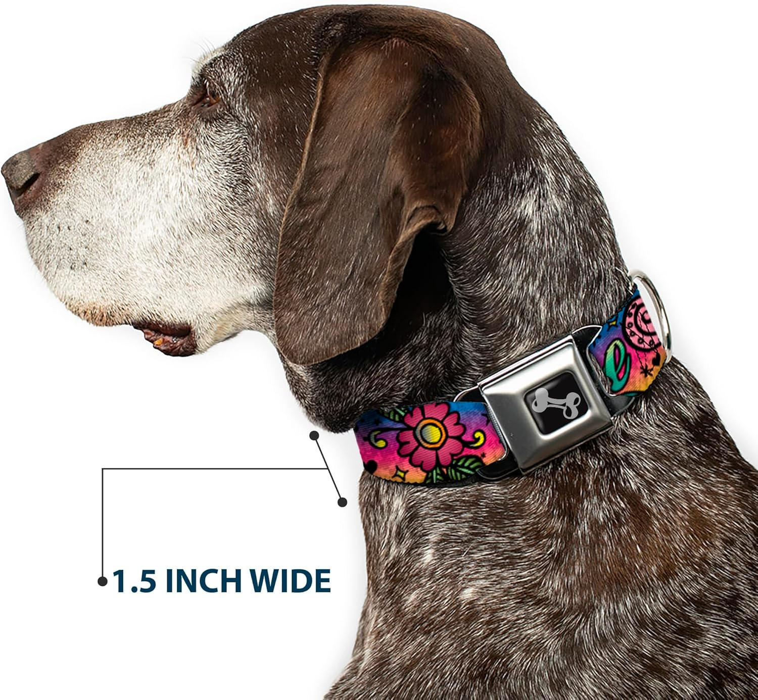 Buckle-Down Seatbelt Buckle Dog Collar - Love Love Purple - 1.5" Wide - Fits 18-32" Neck - Large image number 4