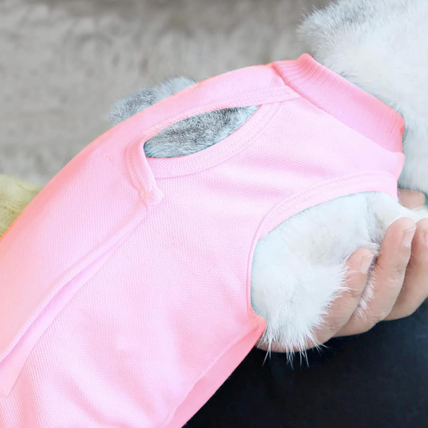 Recovery Suit for Cats Pets Protection Clothing Weaning Leak Protection Suit Recovery Suit E-Collar Alternative Cat Abdominal Wounds Prevent Licking for Cats Dogs (M, Pink) image number 5