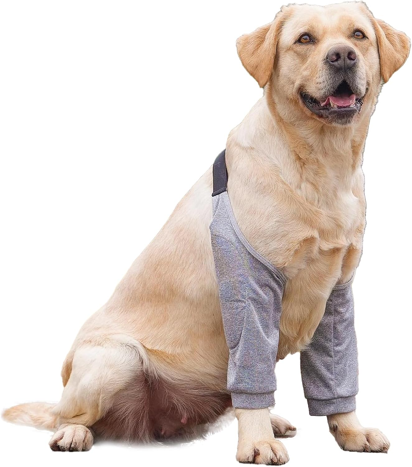 Dog Front Leg Braces Recovery Sleeve, Pet Dog Front Leg Hock Brace Elbow Protector, Pet Knee Brace Wounds for Medium Large Dogs (2XL, Grey)