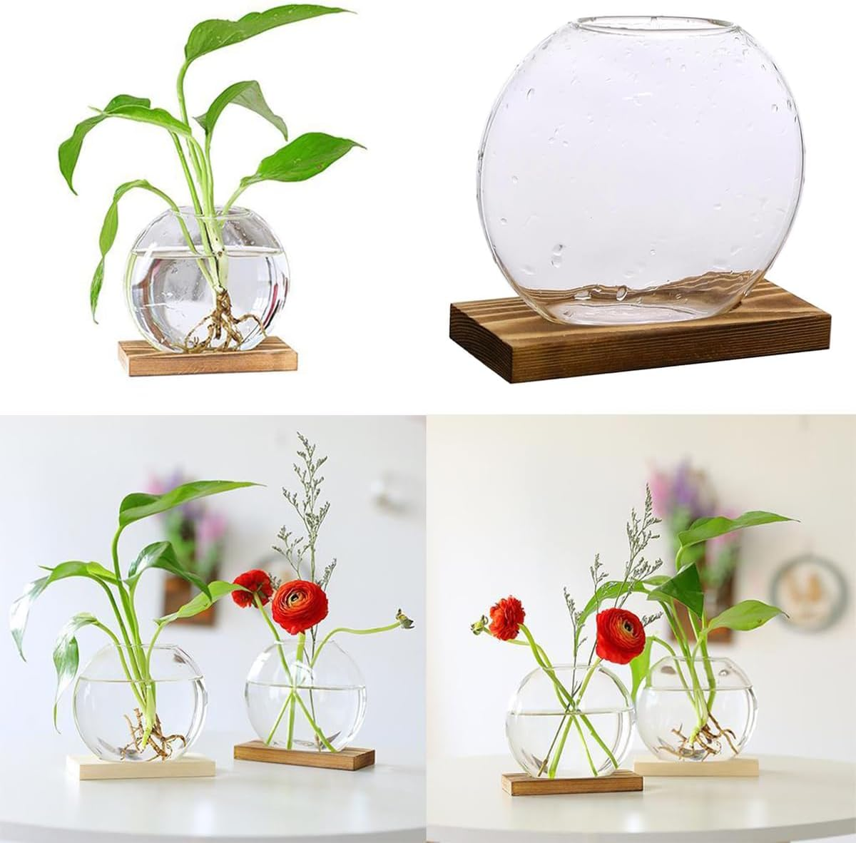 Desktop round Glass Planter Terrarium Flower Vase with Wooden Stand for Propagation Small Hydroponic Plants Home Office Decor, 2 Pack (Brown) image number 4