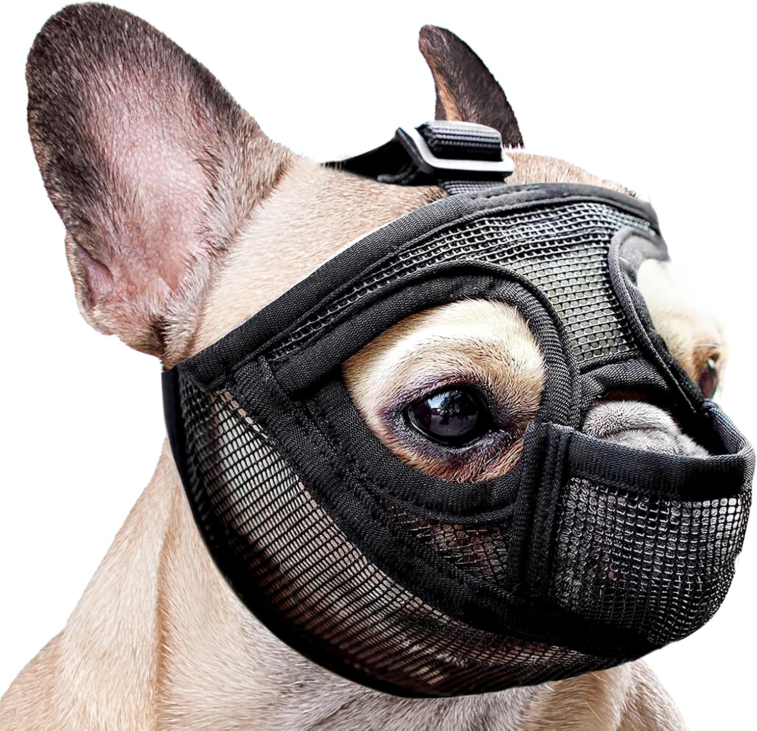 French Bulldog Muzzle, Mesh Dog Muzzle for French Bulldog, German Shepherd and Dogue De Bordeaux (Black, S) image number 5