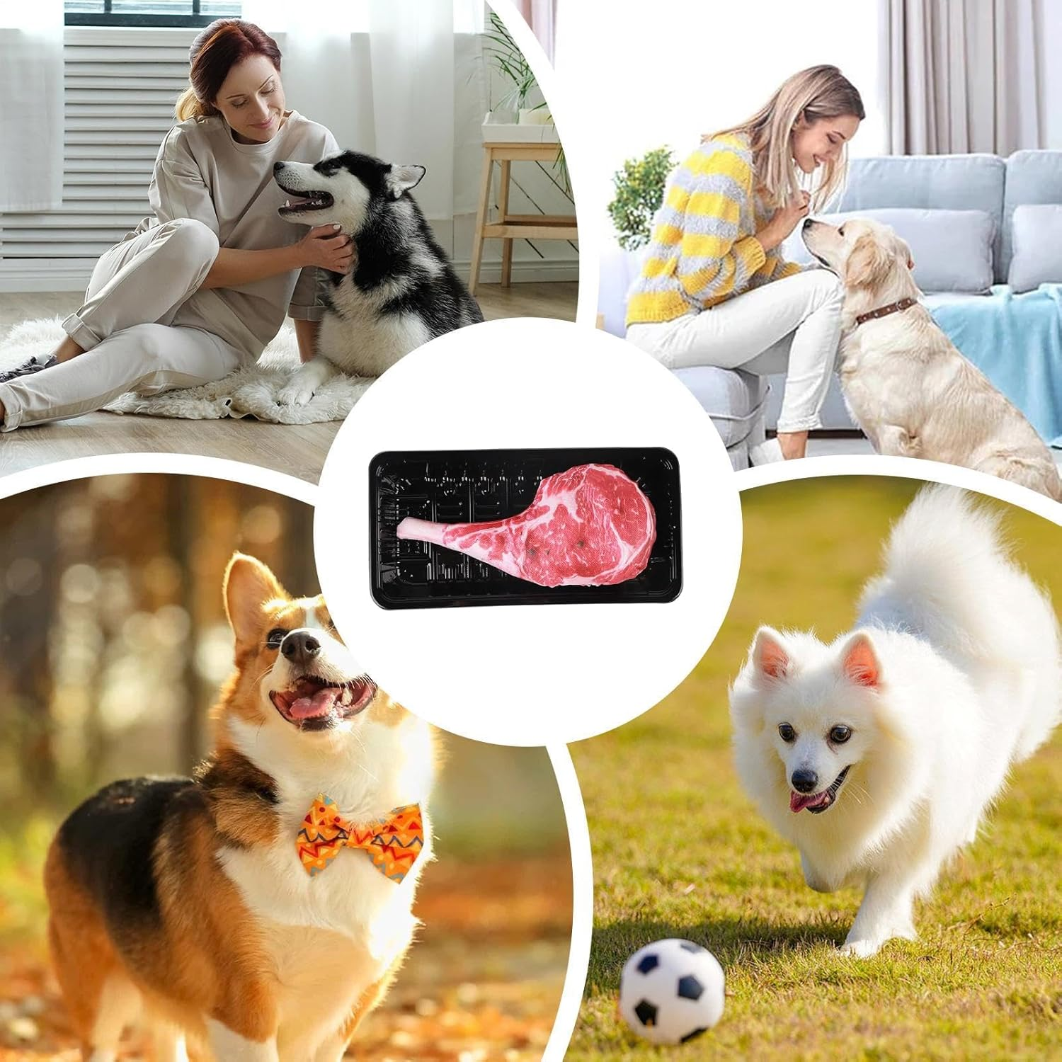 Dog Squeaky Toys - Interactive Squeaker Doll for Puppy | Multifunctional Pet Fetch Chewing Toys for Outdoor Yard Backyard Home