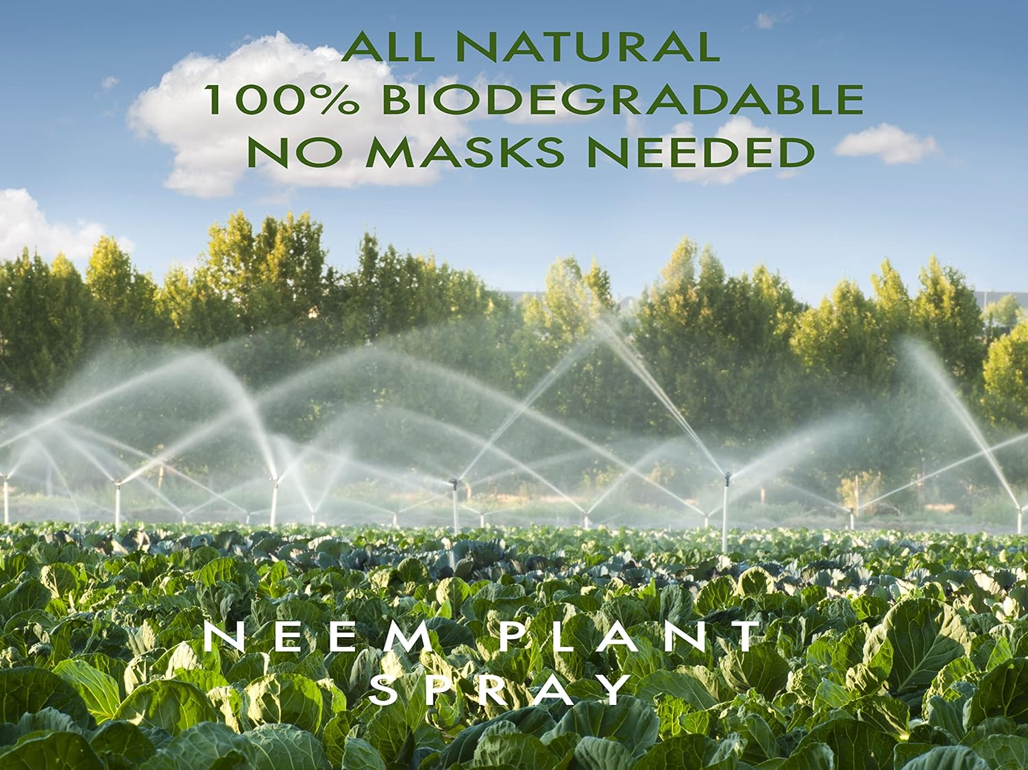 Neem Rich Neem Plant Spray Concentrate 1 Litre image number 4