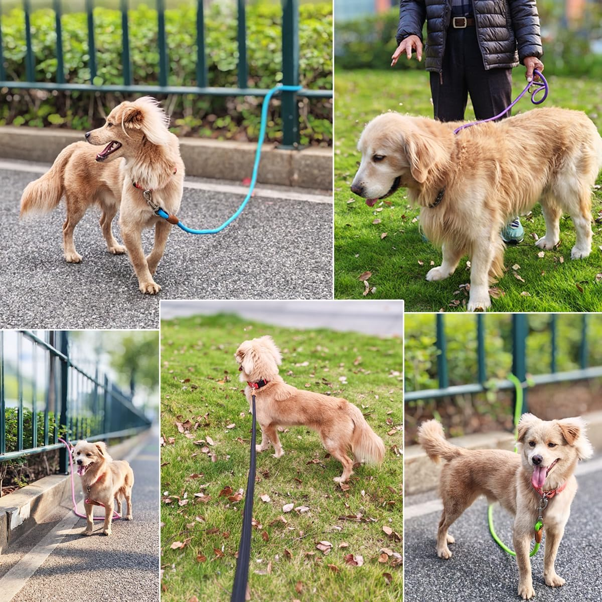 YUCFOREN 6 Foot Dog Tie Out Rope Leash, Training Tie down Heavy Duty Climbing Nylon Basic Leash for Camping, Indoor, Outdoor and Front Yard image number 2