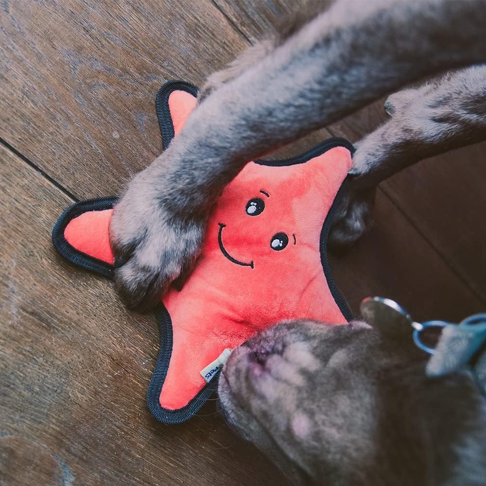 Beco Post Consumer Recycled Plastic Rough and Tough Starfish Dog and Cat Toy Orange Large