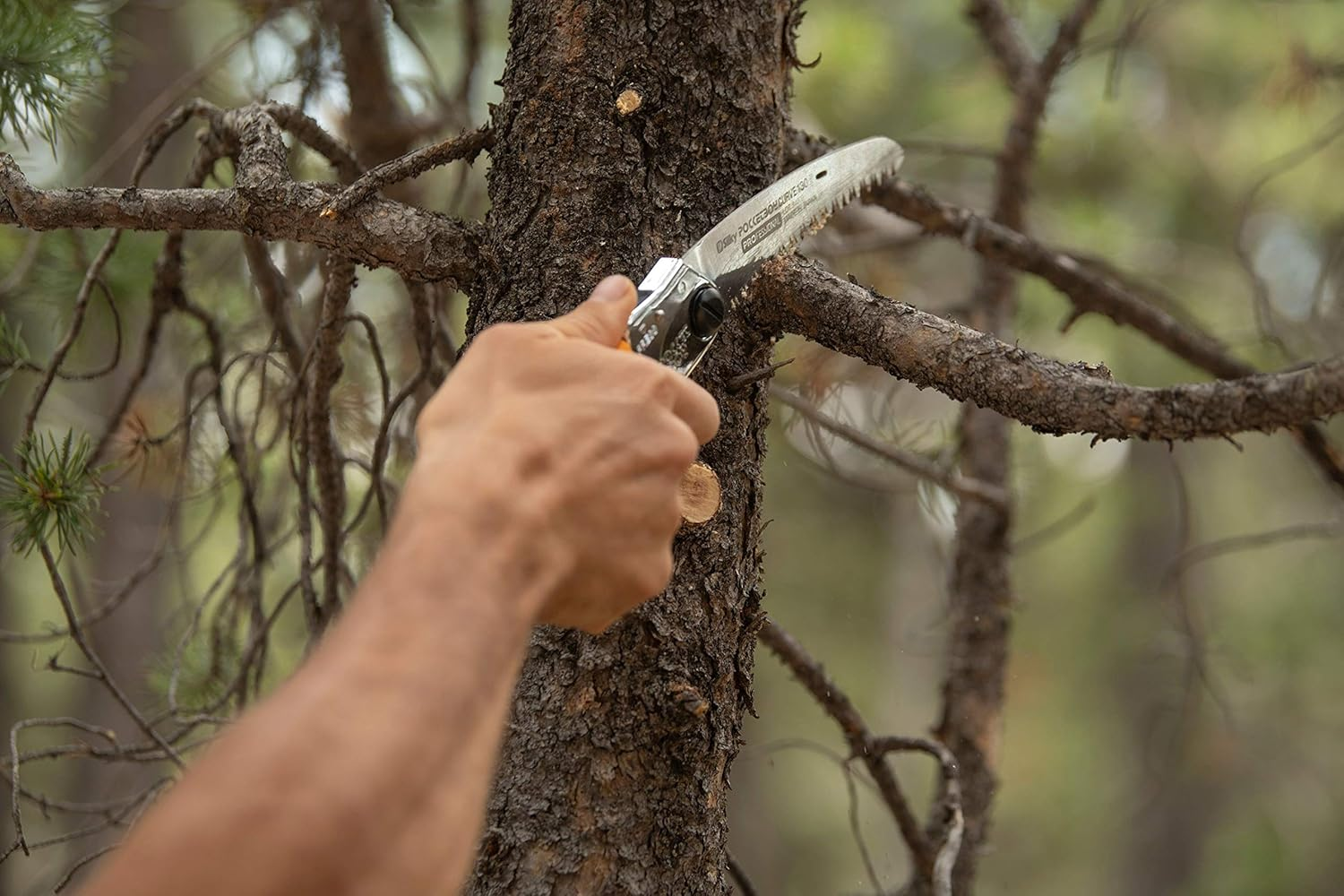 Silky Professional Series Pocketboy Curved Blade Folding Saw 130Mm Large Teeth image number 5