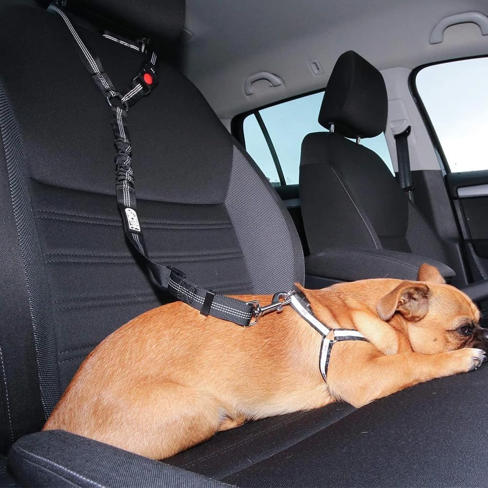 2 Pack Dog Car Seat Belt, Dog Seat Belts for Cars UK with Adjustable Heavy Duty Nylon and anti Shock Elastic Bungee Buffer (Black and Red) image number 6