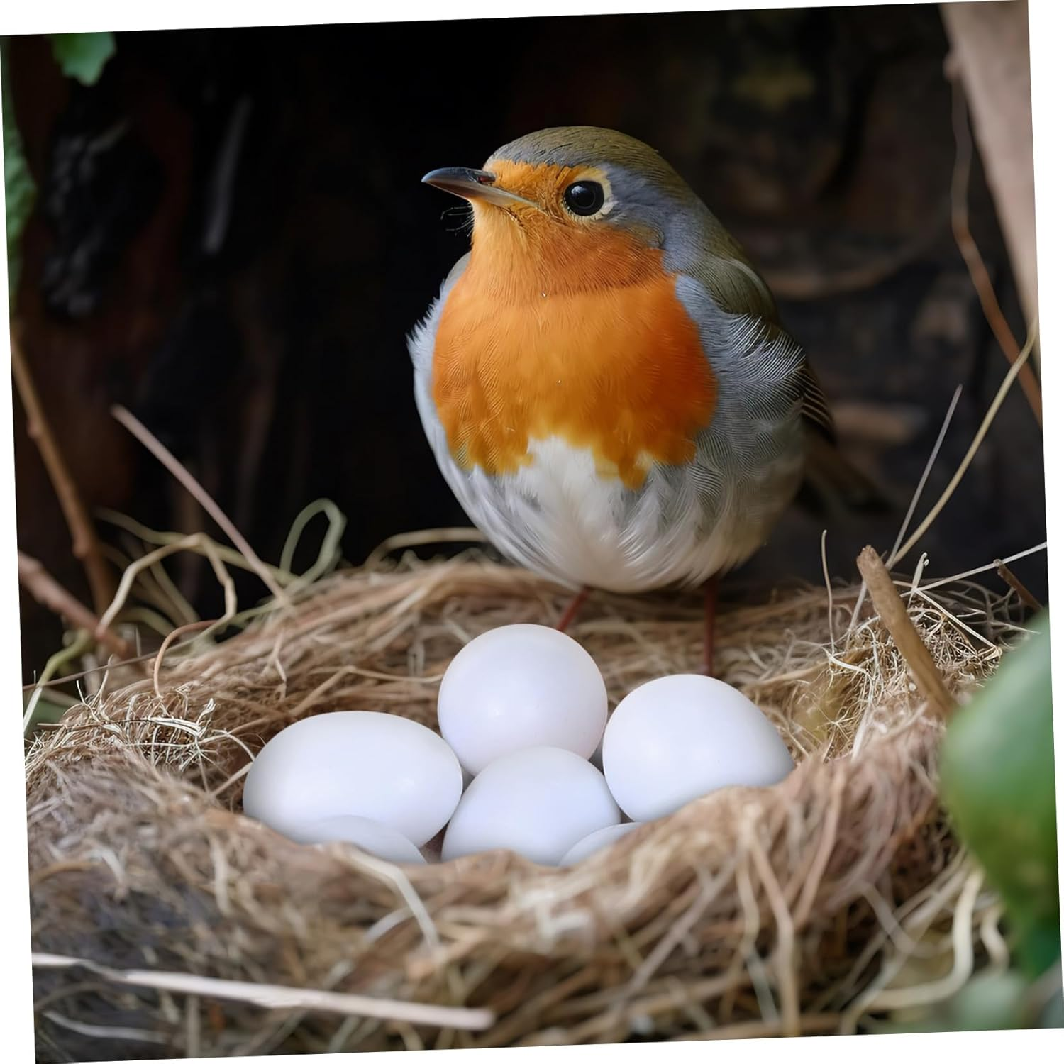 JOINPAYA 10Pcs Realistic Fake Bird Eggs for Cockatiel Breeding Training Solid Weight Imitation Naturalistic Design Proper for Home Decor and Bird Care image number 3