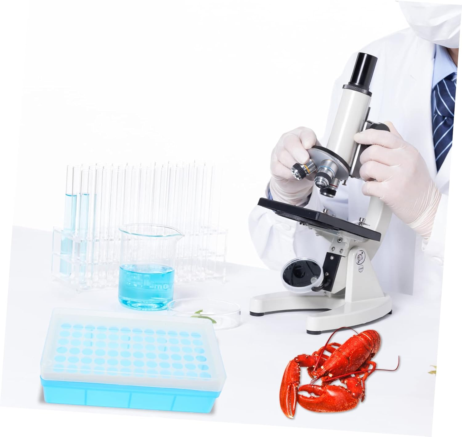 BELLIFFY Brine Shrimp Hatchery Tube and Collecting Storage Box Set, Plastic Breeding Accessories Kit with Lid for Aquarium Hatchery and Artemia Hatching, Suitable for Fish Aquatic Pets Breeding image number 2