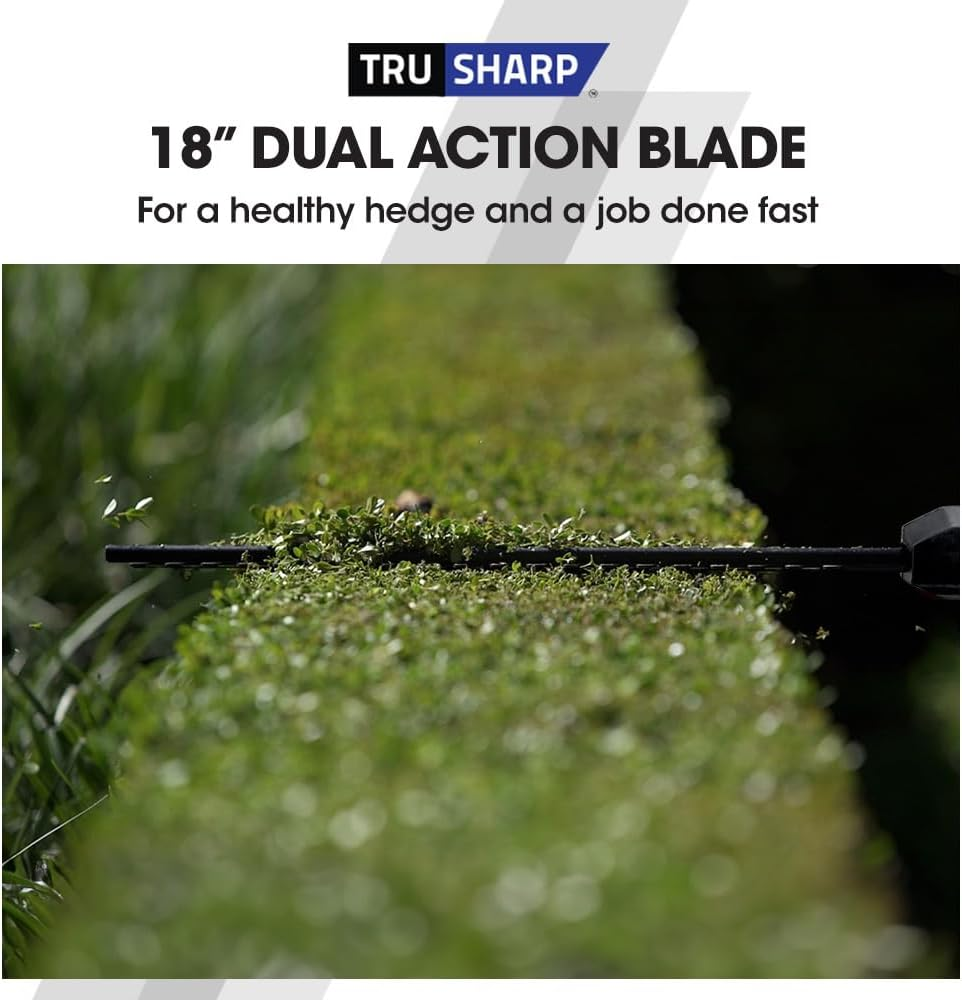 Baumr-Ag 20V SYNC Cordless Pole Saw & Hedge Trimmer Combo, 8 Inch Chainsaw Pruner, Telescopic Handle, with Battery and Charger Kit image number 1