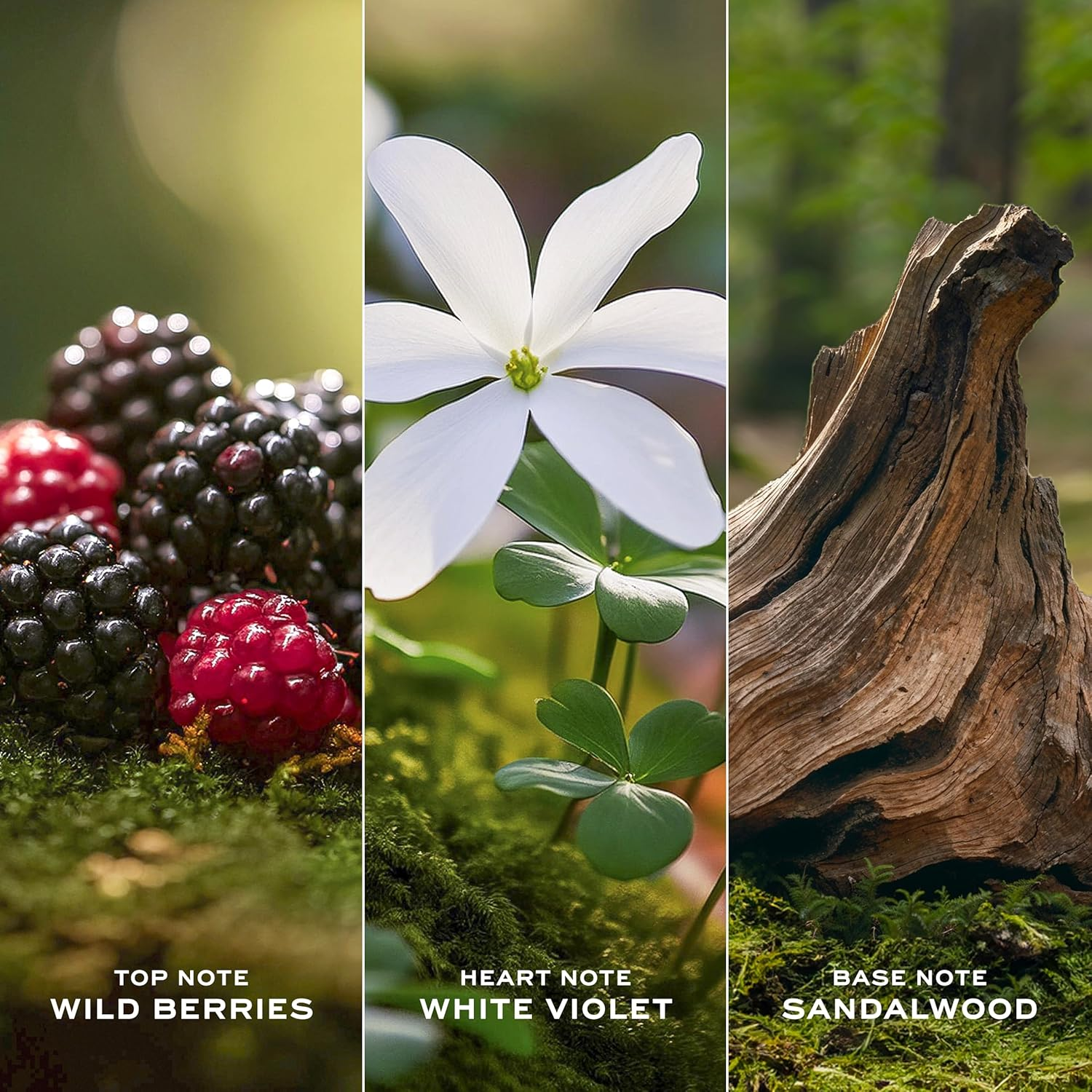 Marc Jacobs Daisy Eau De Toilette Spray image number 3